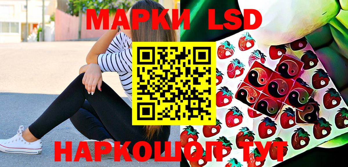 Каменка  Марки N-bome 1,8мг  Вход с VPN  Марки N-bome 1,8мг 