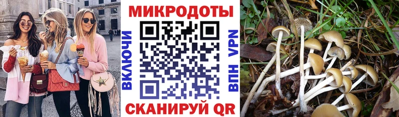Псилоцибиновые грибы прущие грибы  Каменка 