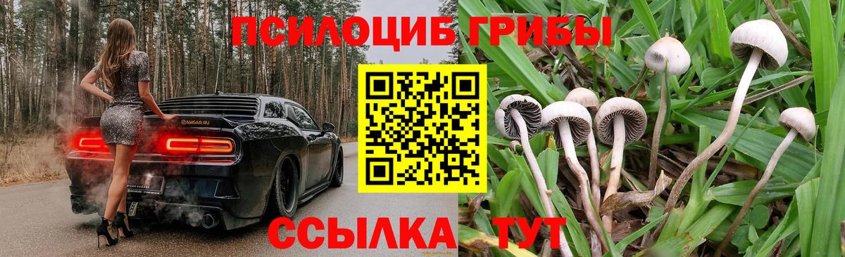 Каменка  Галлюциногенные грибы мухоморы  Вход с VPN 